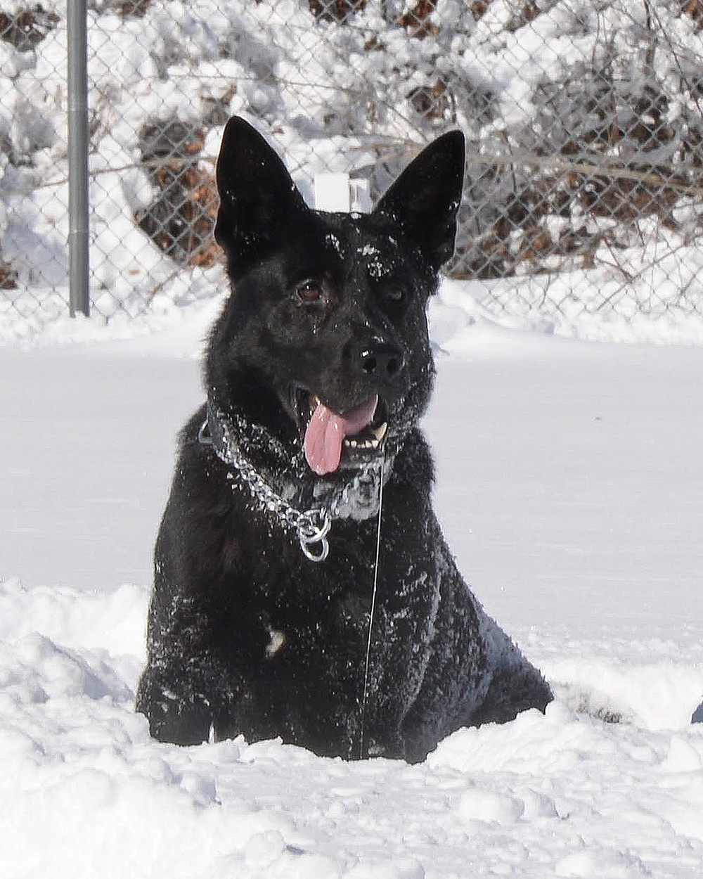 Working in the snow