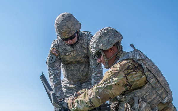 251st Combat Engineer Company (Sapper) 2017 AT