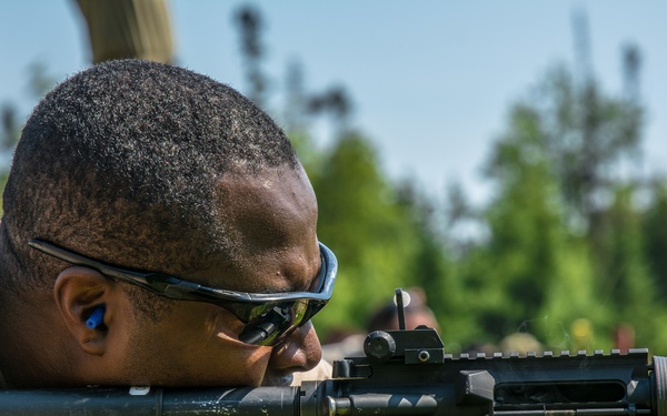 251st Combat Engineer Company (Sapper) 2017 AT