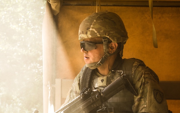 251st Combat Engineer Company (Sapper) 2017 AT