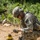 251st Combat Engineer Company (Sapper) 2017 AT