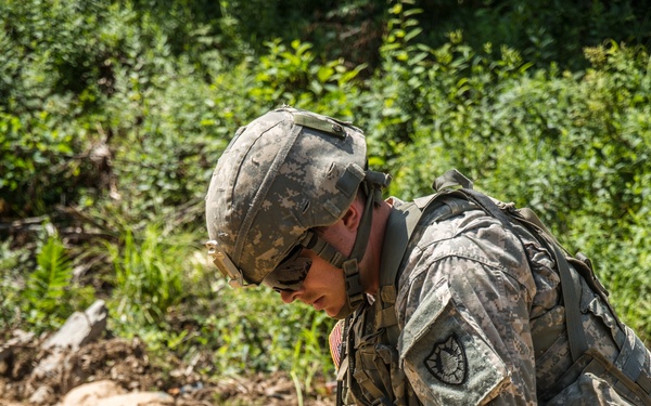 251st Combat Engineer Company (Sapper) 2017 AT