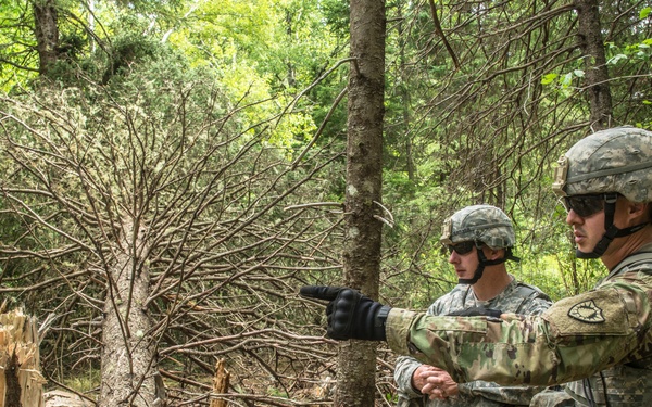 251st Combat Engineer Company (Sapper) 2017 AT