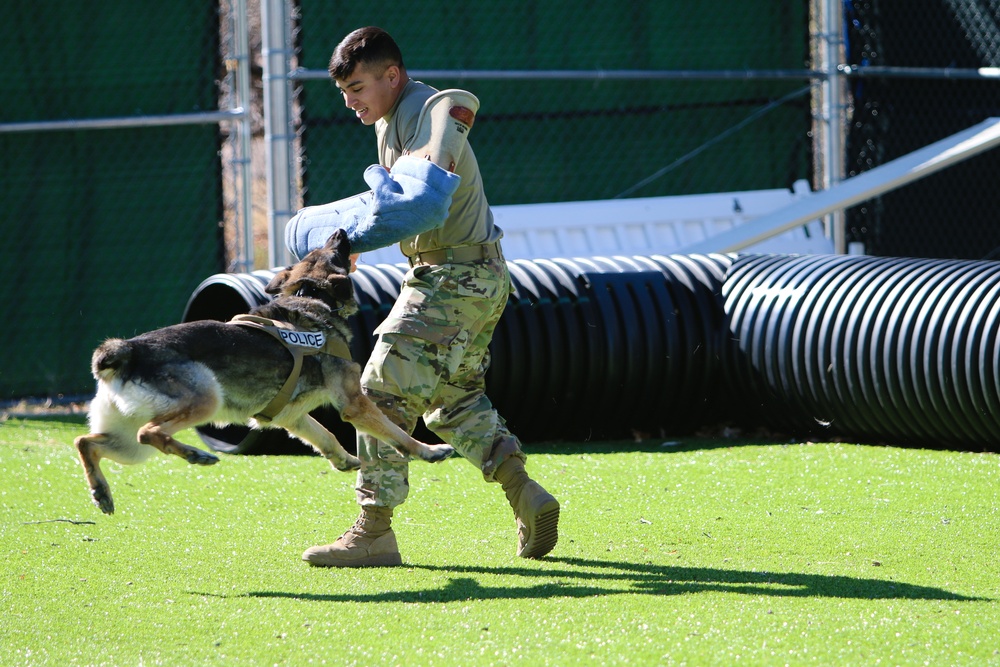 A U.S. Army Soldier and her K9 partner trains at Fort Huachuca