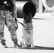 A U.S. Army Soldier and her K9 partner trains at Fort Huachuca