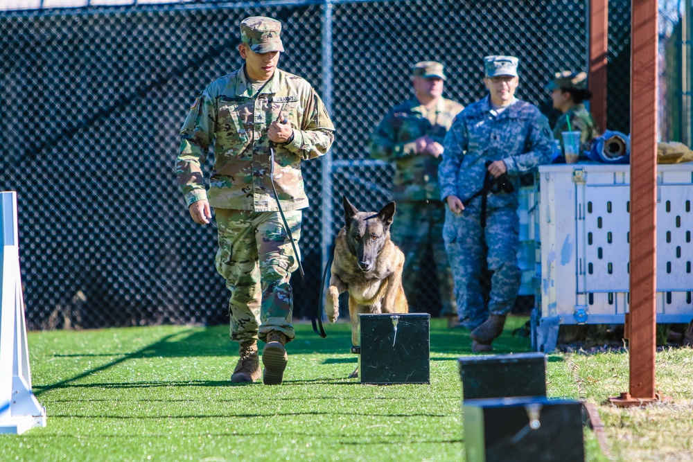 A U.S. Army Soldier and K9 trains at Fort Huachuca