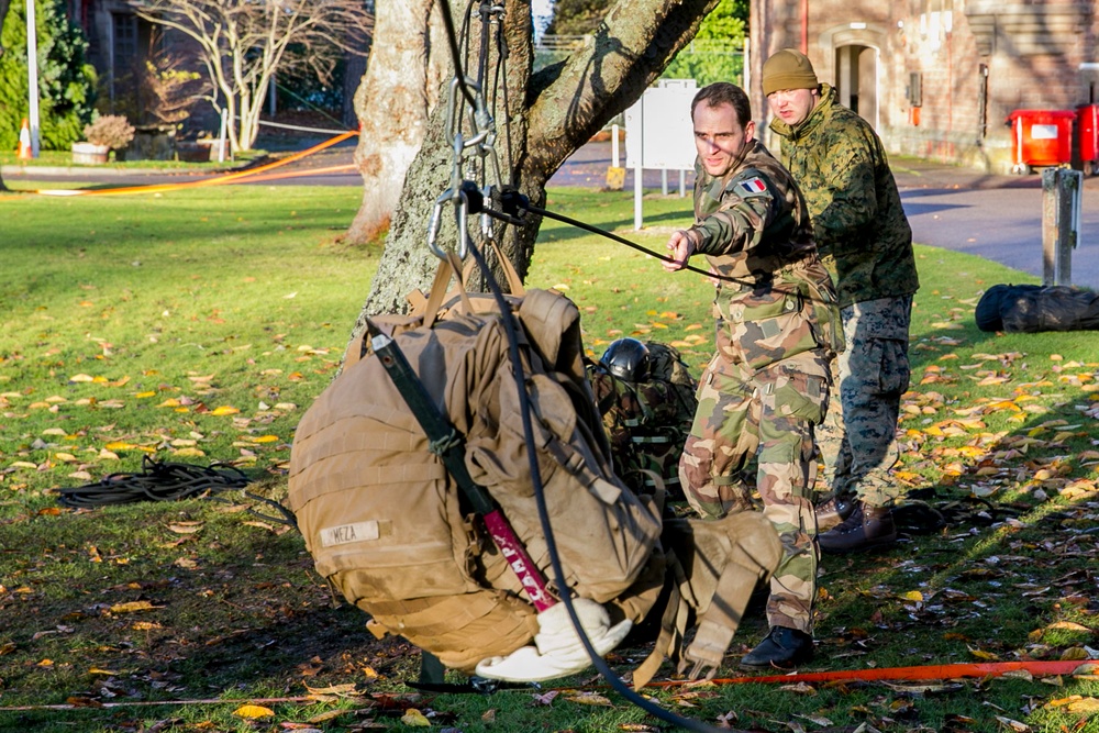 Exercise Green Claymore