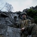 Exercise Green Claymore
