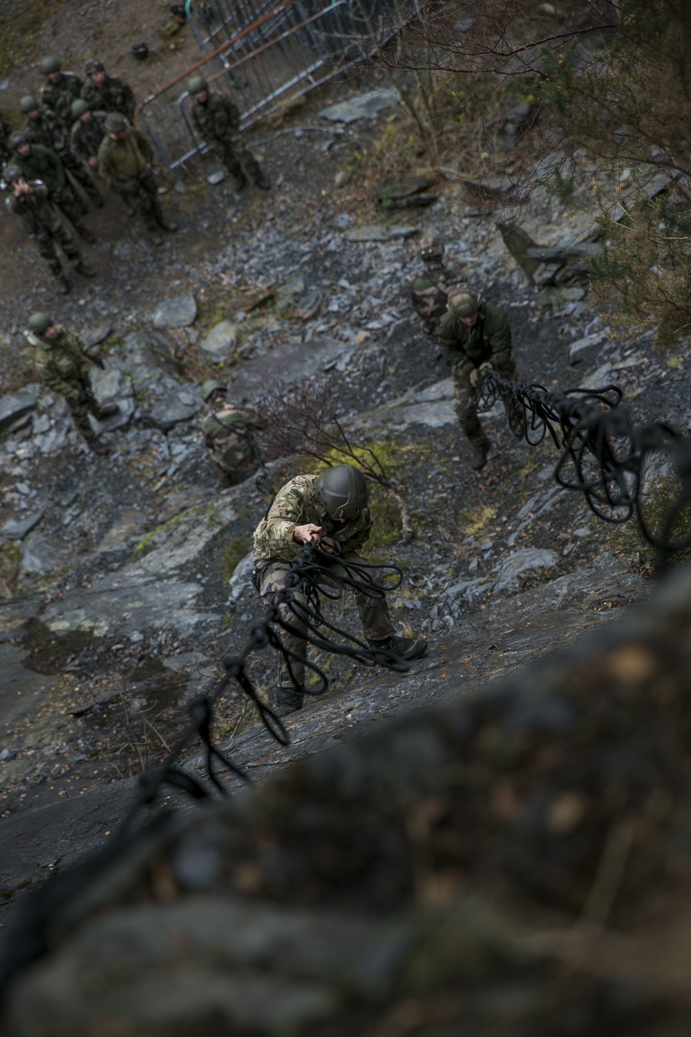 Exercise Green Claymore