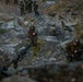Exercise Green Claymore