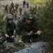 Exercise Green Claymore