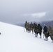 Exercise Green Claymore