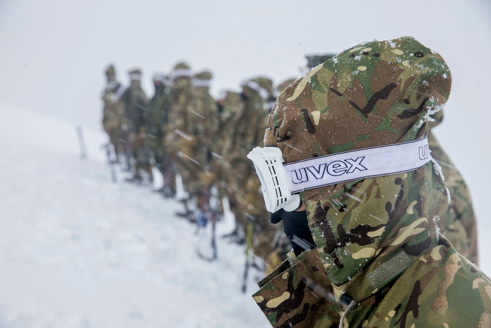 Exercise Green Claymore