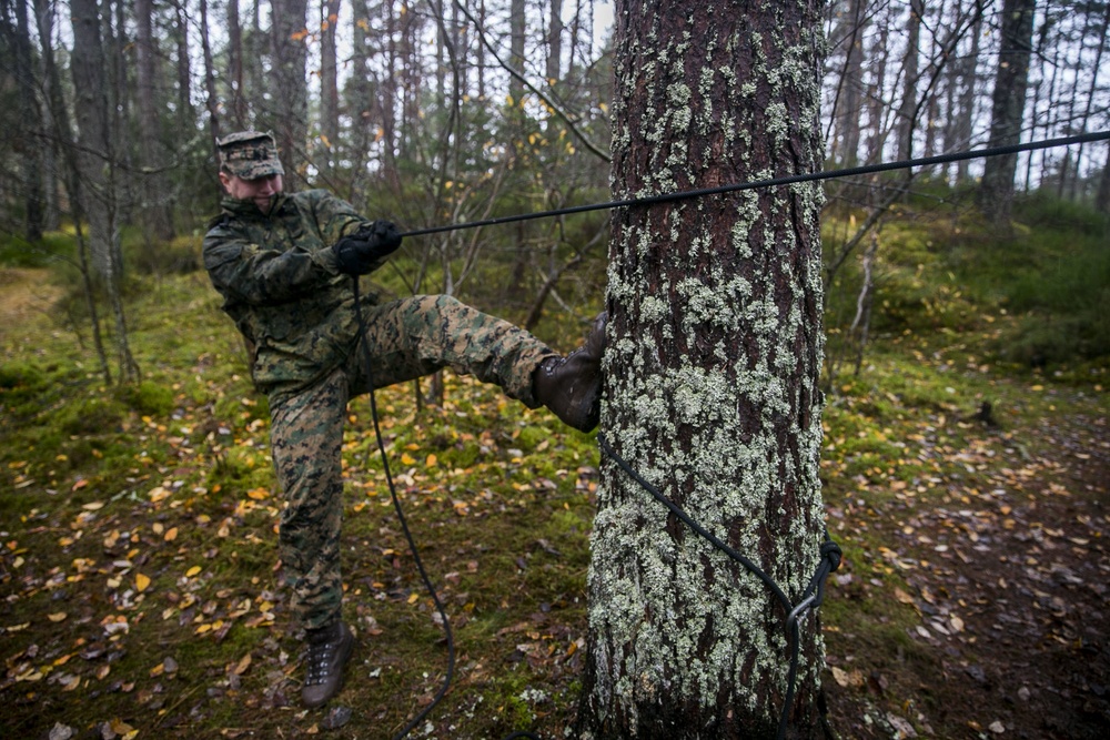 Exercise Green Claymore