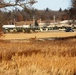 Deer at Fort McCoy