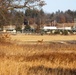 Deer at Fort McCoy