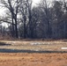 Deer at Fort McCoy