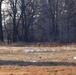 Deer at Fort McCoy