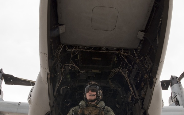 Marine Ospreys come to Peterson