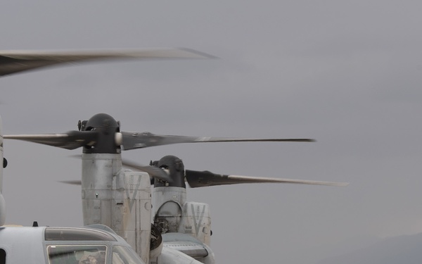 Marine Ospreys come to Peterson
