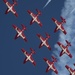 Snowbirds perform at Gowen Thunder Air Show