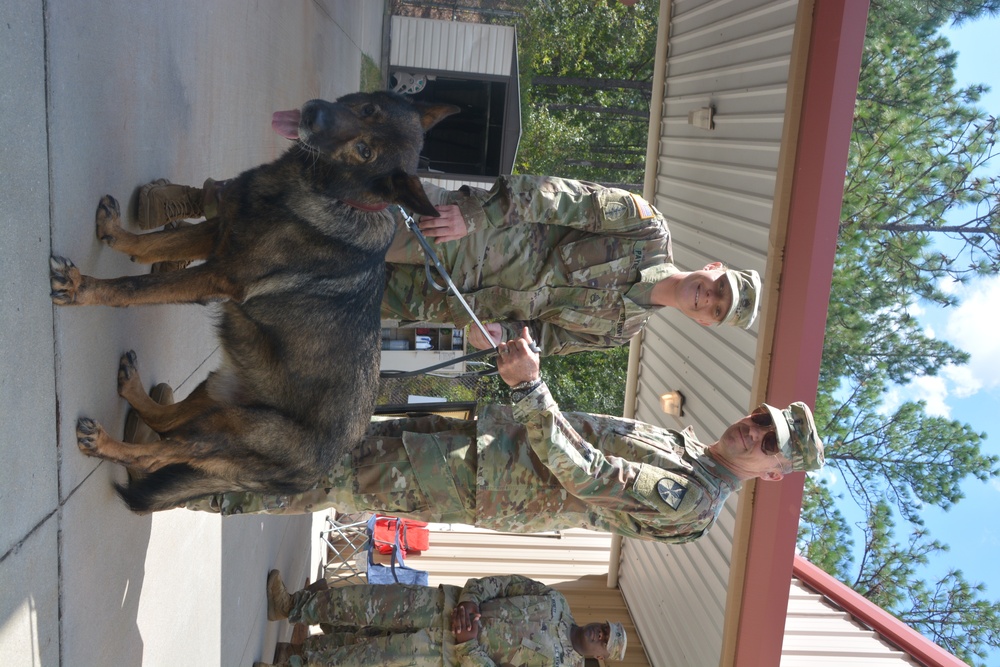 K-9 honored for military service