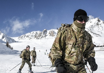 Winter patrol on skis