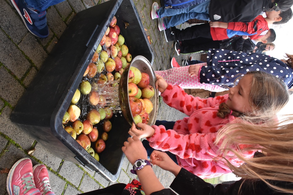 Apple Picking at Aukamm Elementary