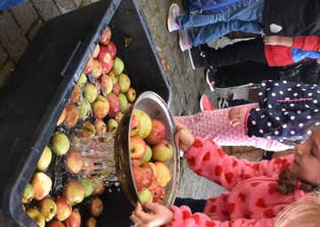 Apple Picking at Aukamm Elementary