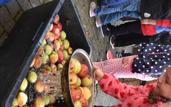 Apple Picking at Aukamm Elementary
