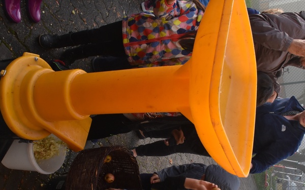 Apple Picking at Aukamm Elementary