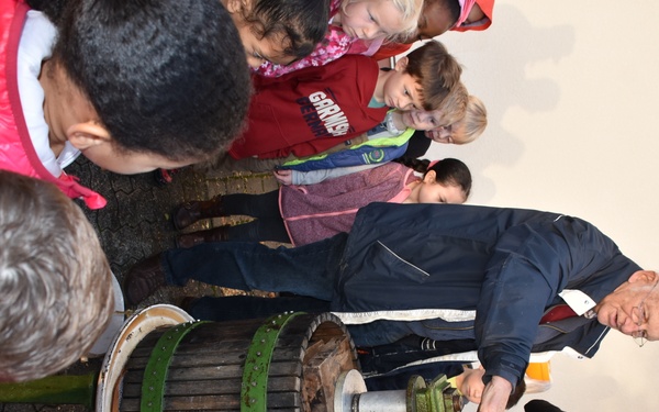 Apple Picking at Aukamm Elementary