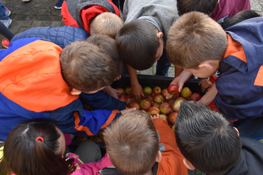 Apple Picking at Aukamm Elementary
