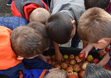 Apple Picking at Aukamm Elementary
