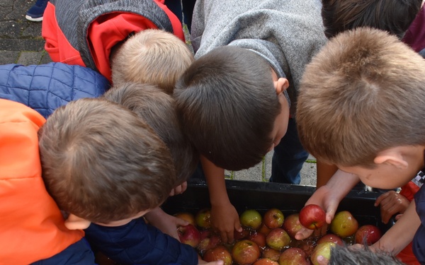 Apple Picking at Aukamm Elementary