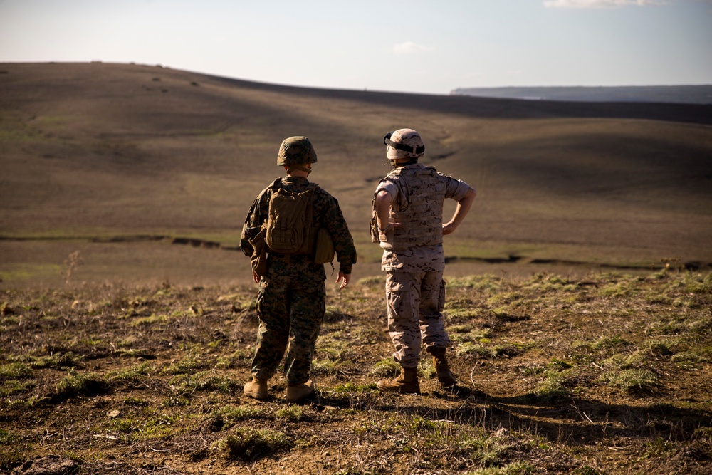 U.S. Marines call in artillery support with foreign military