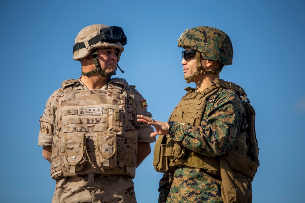 U.S. Marines call in artillery support with foreign military
