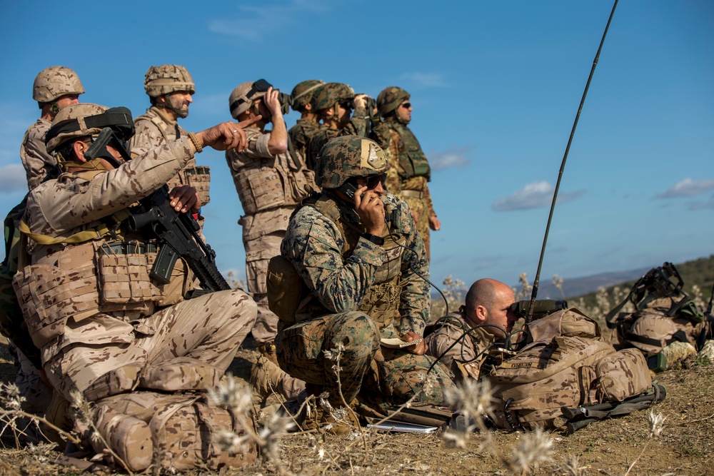 U.S. Marines call in artillery support with foreign military