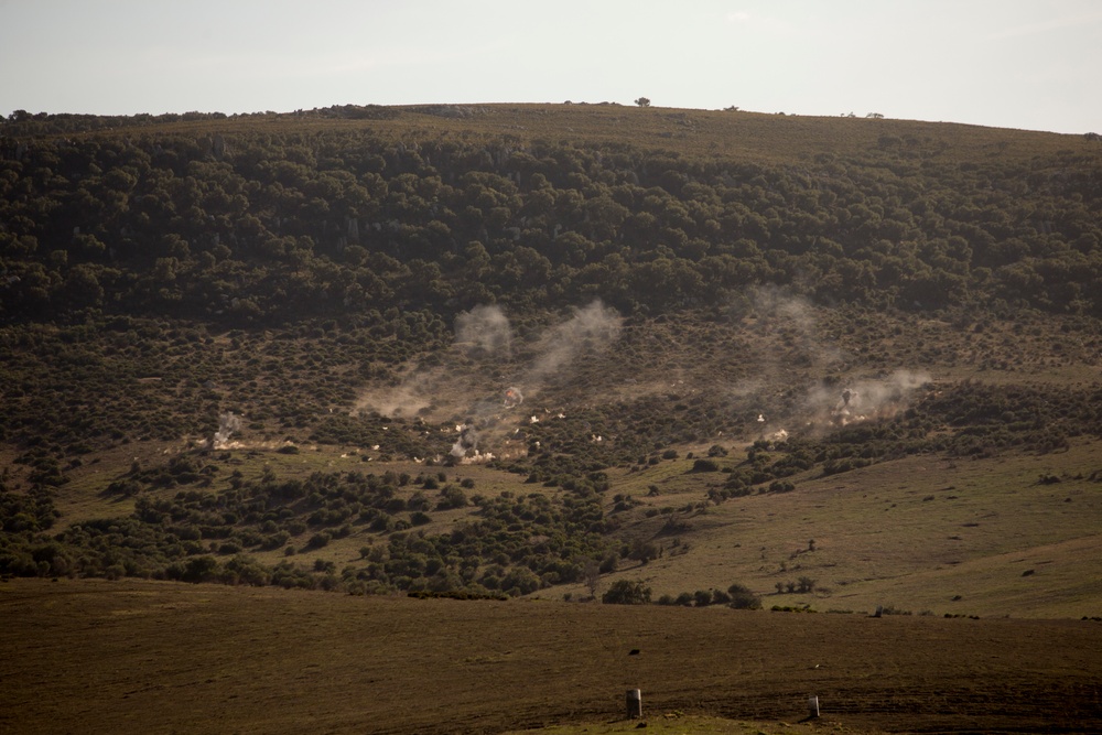 U.S. Marines call in artillery support with foreign military