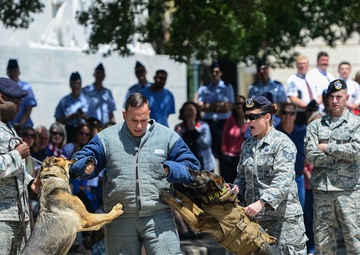 USAF at the Alamo