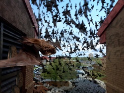 Breaking: Bat Infestation Advisory for Fort Gordon