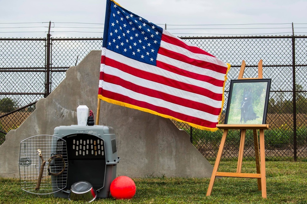 Scott honors military working dog's service