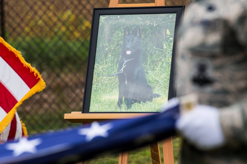 Scott honors military working dog's service