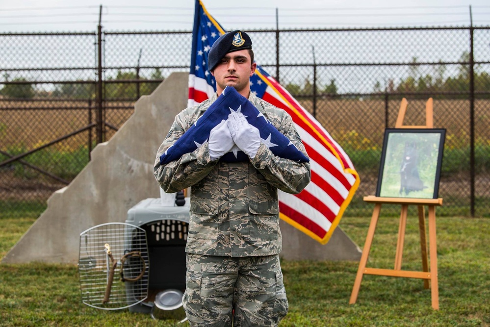 Scott honors military working dog's service