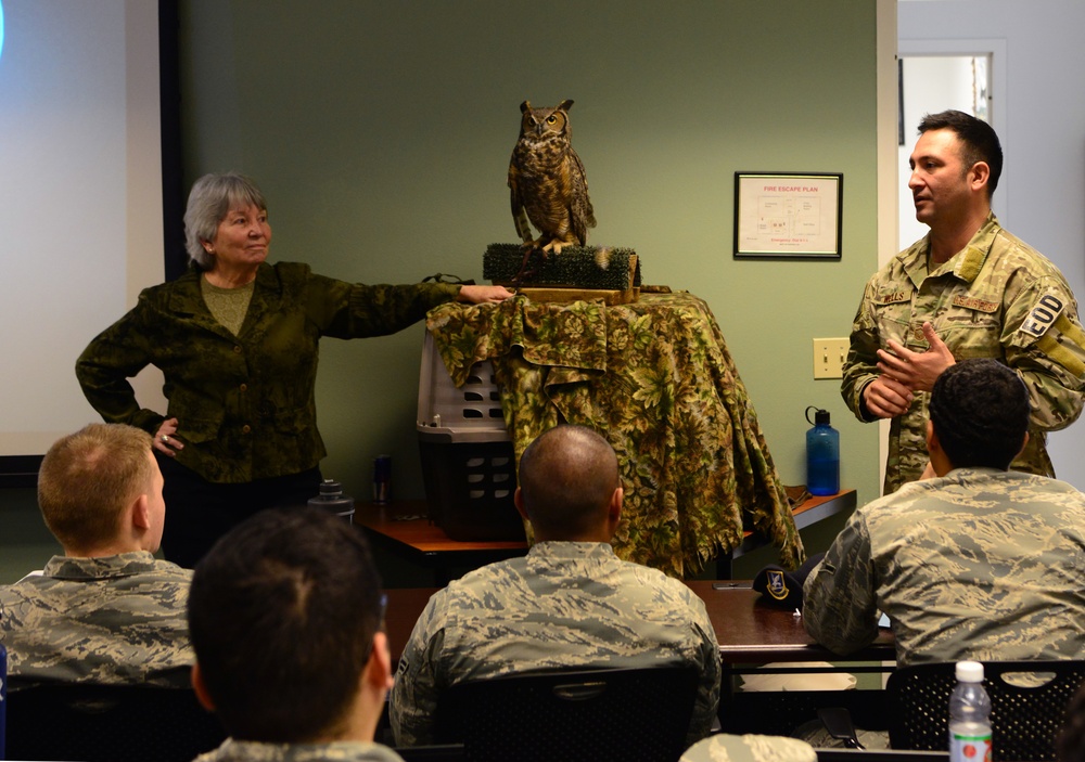Owl visits FTAC