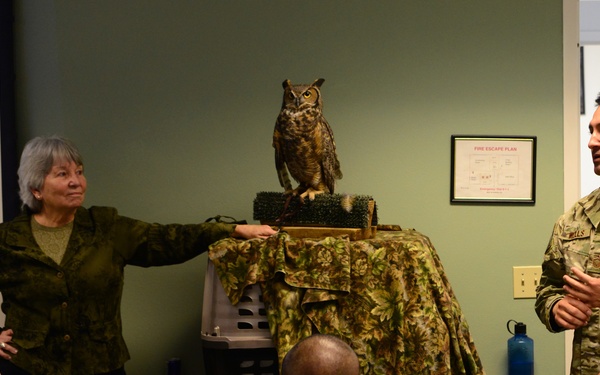 Owl visits FTAC