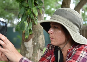 Joint efforts in search of a cure for tropical diseases