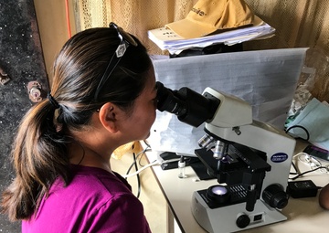 Joint efforts in search of a cure for tropical diseases