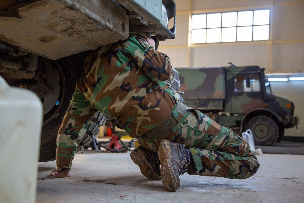 Mina Depot Examination