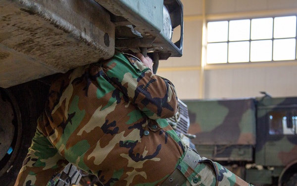 Mina Depot Examination